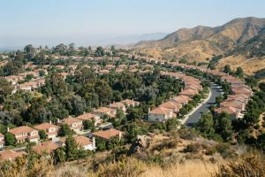Elevated view across an established North Orange County hillside, mature canopy over tiered terracotta rooflines in summer