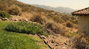 Manicured yard meeting dry native chaparral on a Brea hillside, the fuel modification edge that defensible space rules govern