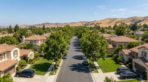 Aerial view of a tree-lined Fullerton residential street in summer.